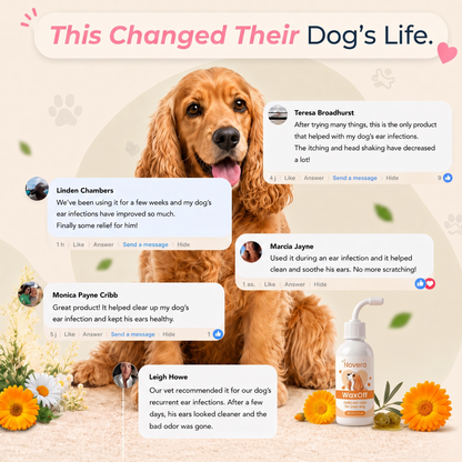 WaxOff — Daily Ear Care for Dogs
