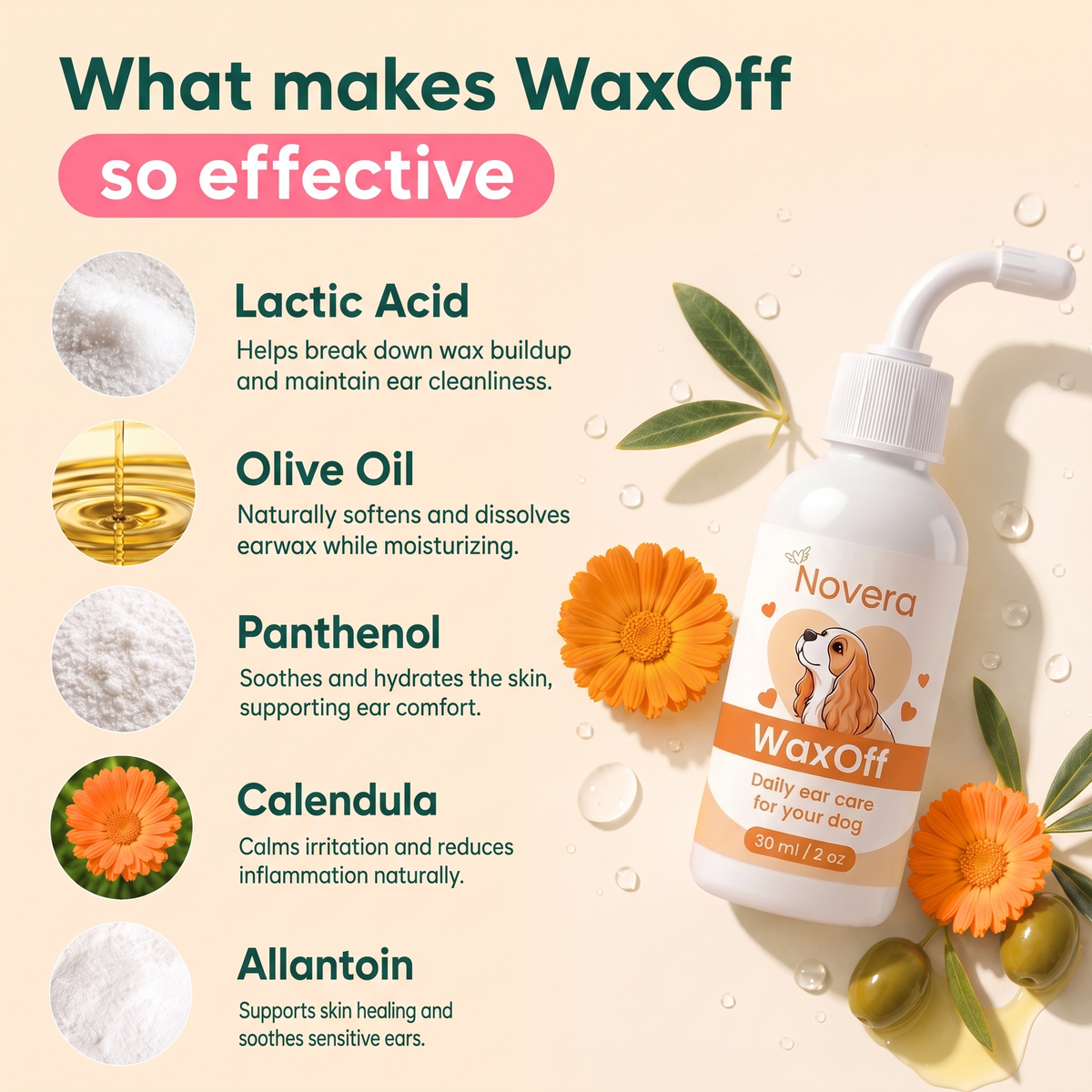 WaxOff — Daily Ear Care for Dogs